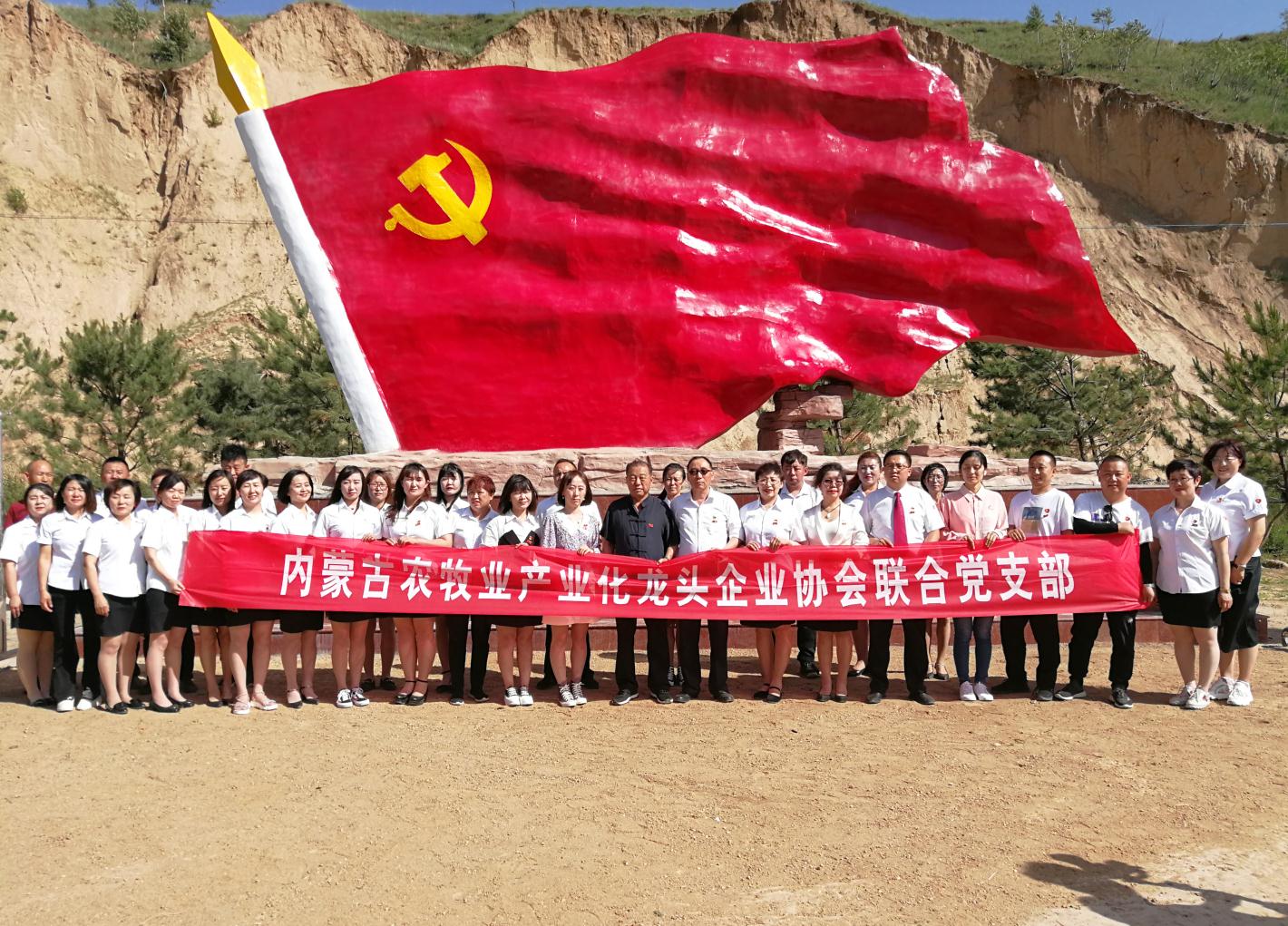 內(nèi)蒙古農(nóng)牧業(yè)產(chǎn)業(yè)化龍頭企業(yè)協(xié)會走進(jìn)石人灣村開展“辦實事、解難題，送溫暖，傳黨恩”公益活動